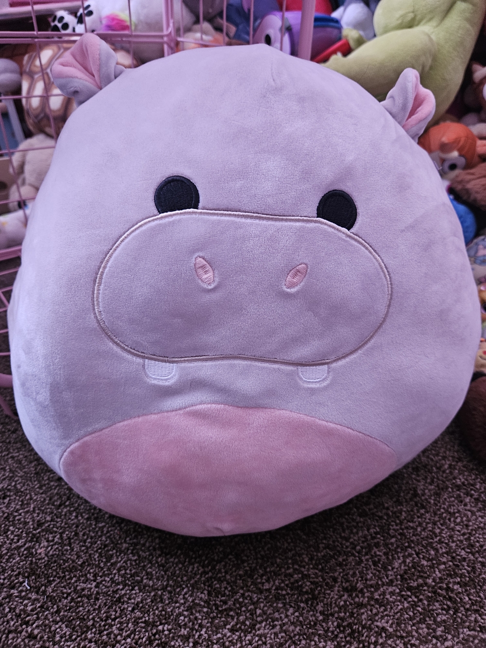 Large Plush Hippo Squishmallow